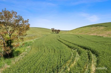 Property photo of 1010 Barrabool Road Barrabool VIC 3221