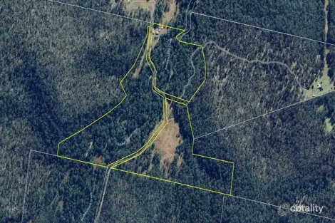 Property photo of 337 Clearview Road Coutts Crossing NSW 2460