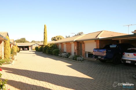 Property photo of 24/14 Hefron Street Rockingham WA 6168