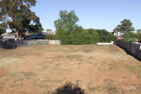 Property photo of 55 Ash Crescent Gladstone SA 5473