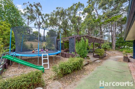 Property photo of 16 Jolley Road Bunyip VIC 3815