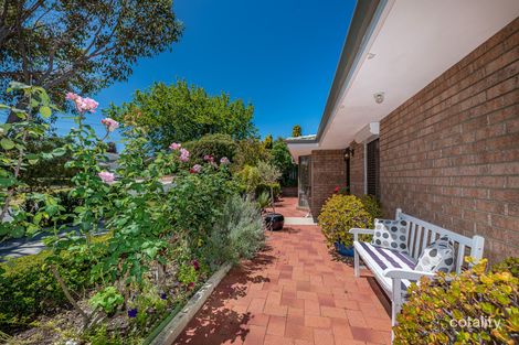 Property photo of 41 Afric Way Kallaroo WA 6025