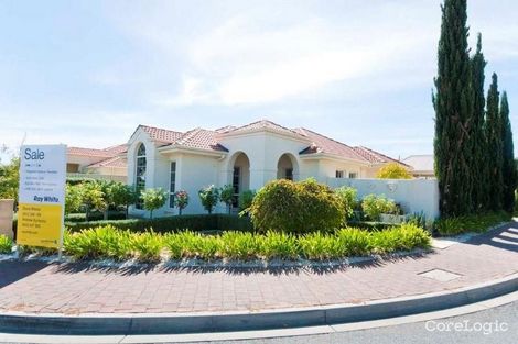 Property photo of 7 Ridgefield Avenue Paradise SA 5075