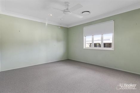 Property photo of 3 Bevis Street Bulimba QLD 4171