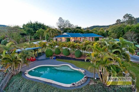 Property photo of 115 Mount O'Reilly Road Samford Valley QLD 4520