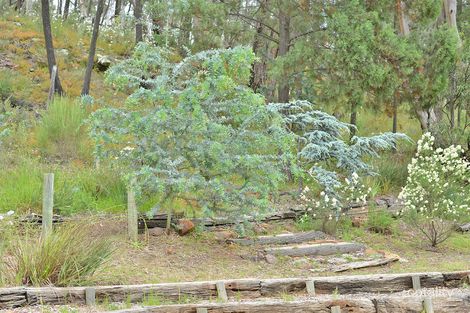 Property photo of 2-6 Margaret Street Coonabarabran NSW 2357