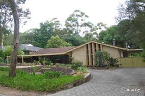 Property photo of 62 Bowen Road Tea Tree Gully SA 5091