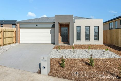 Property photo of 31 Brandybuck Lane Mernda VIC 3754