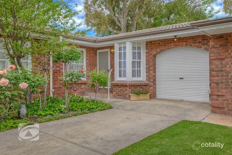 Property photo of 4/16 Myall Avenue Kensington Gardens SA 5068