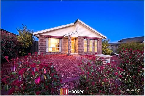 55 Bill Ferguson Cct, Bonner, ACT 2914