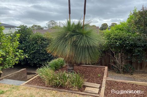 Property photo of 23 Ballara Avenue Glen Waverley VIC 3150