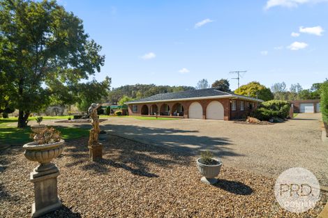 6464 Holbrook Rd, Gelston Park, NSW 2650
