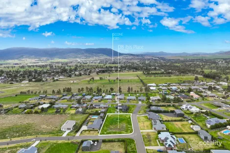 Property photo of 38 Ibis Place Scone NSW 2337