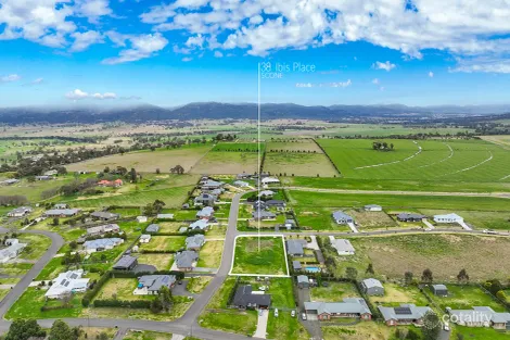 Property photo of 38 Ibis Place Scone NSW 2337