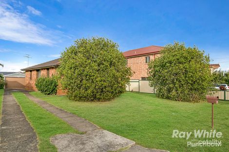 Property photo of 6 Mitcham Street Punchbowl NSW 2196