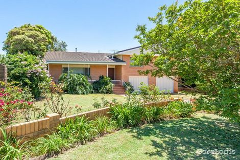 Property photo of 11 Illawarra Street Harristown QLD 4350