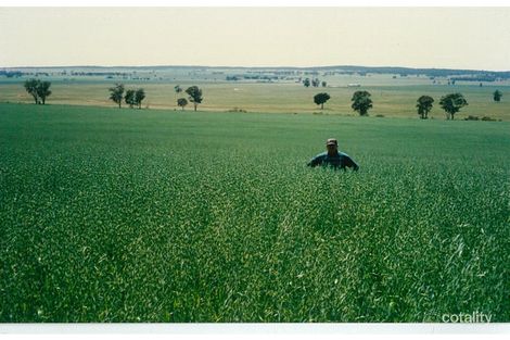 1040 Richards Lane, Beckom, NSW 2665