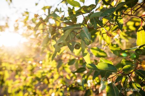 Property photo of 85 Freeman View Hazelmere WA 6055