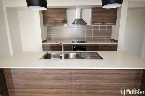 Property photo of 19 Brindabella Street Newport QLD 4020