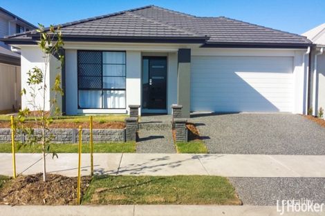Property photo of 19 Brindabella Street Newport QLD 4020