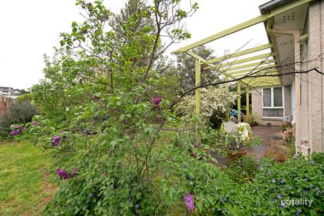 Property photo of 61 Macleay Street Turner ACT 2612