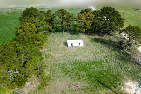 46 Mannus Creek Rd, Mannus, NSW 2653