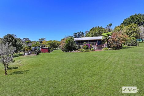 73 Mundey Rd, Malanda, QLD 4885