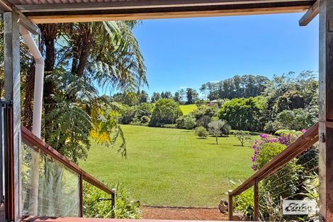 Property photo of 73 Mundey Road Malanda QLD 4885