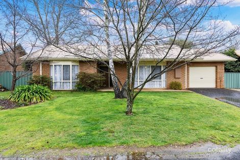 8/56 Mountbatten Ave, Bright, VIC 3741