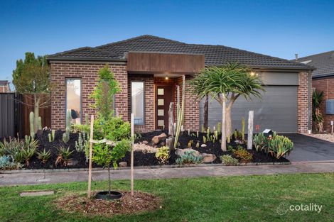 Property photo of 44 Thorngrove Avenue Craigieburn VIC 3064