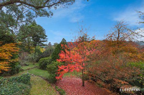 Property photo of 6 Grandview Grove Sassafras VIC 3787