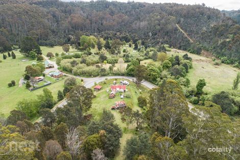 38259 Tasman Hwy, Targa, TAS 7259