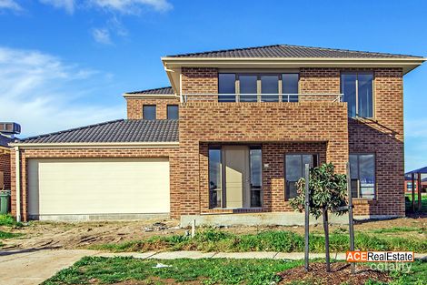 Lot 782 Daisybush Dr, Point Cook, VIC 3030