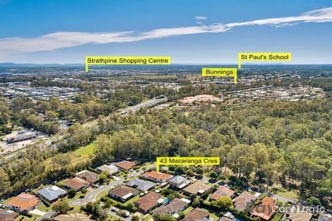 Property photo of 43 Macaranga Crescent Carseldine QLD 4034