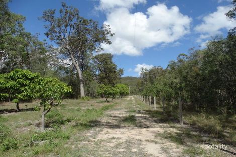 Property photo of 497 Muller Road Baffle Creek QLD 4674
