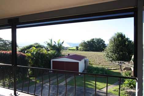 Property photo of 19 George Street Murwillumbah NSW 2484