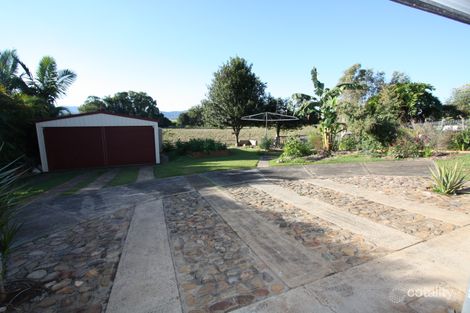 Property photo of 19 George Street Murwillumbah NSW 2484