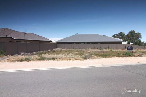 Property photo of 16 Ian Showell Drive Renmark SA 5341