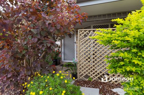 Property photo of 3/42 Smith Street North Ipswich QLD 4305