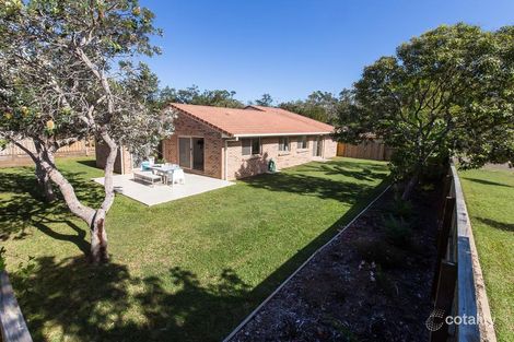 Property photo of 8 Roseash Crescent Noosaville QLD 4566