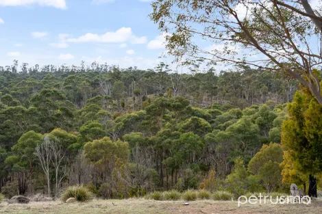 469a Glen Dhu Rd, Molesworth, TAS 7140