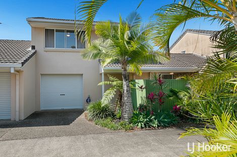 26/88 Wynyard St, Cleveland, QLD 4163