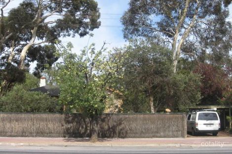 41 Tusmore Ave, Leabrook, SA 5068