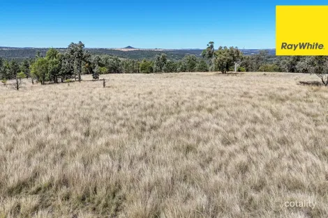 Gwydir Hwy, Warialda, NSW 2402