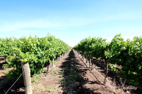 74 Mortimer Rd, Berri, SA 5343