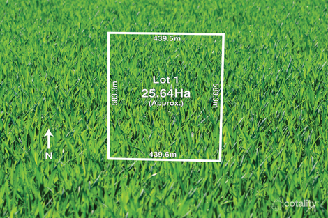 100 Shepparton-Violet Town Rd, Kialla East, VIC 3631