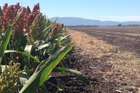 186 Robinson Rd, Piallaway, NSW 2342