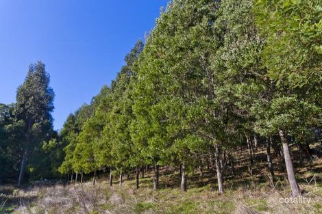 Property photo of 140 Pennyroyal-Wymbooliel Road Murroon VIC 3243