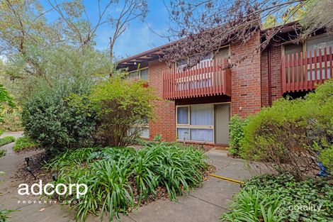 12/36 Trevelyan St, Wayville, SA 5034