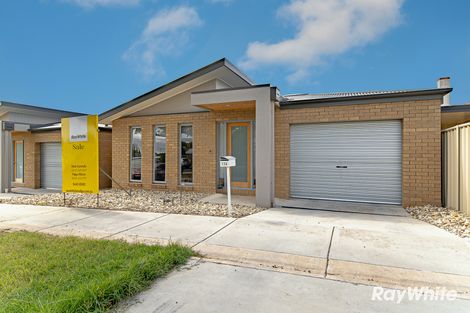 12a Bosquet St, White Hills, VIC 3550